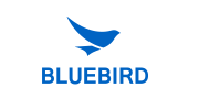 韩国蓝鸟 Bluebird