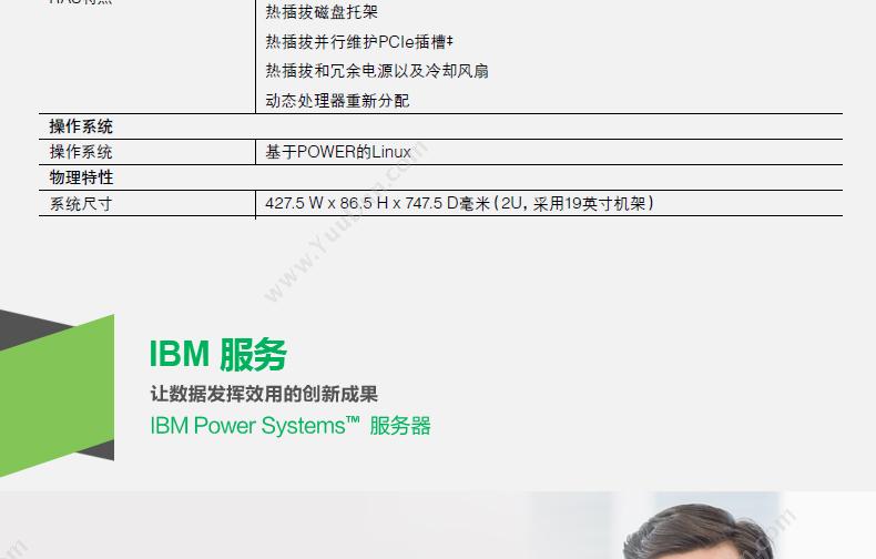 IBM PowerSystemS812L 8247-21L 其他机架式服务器