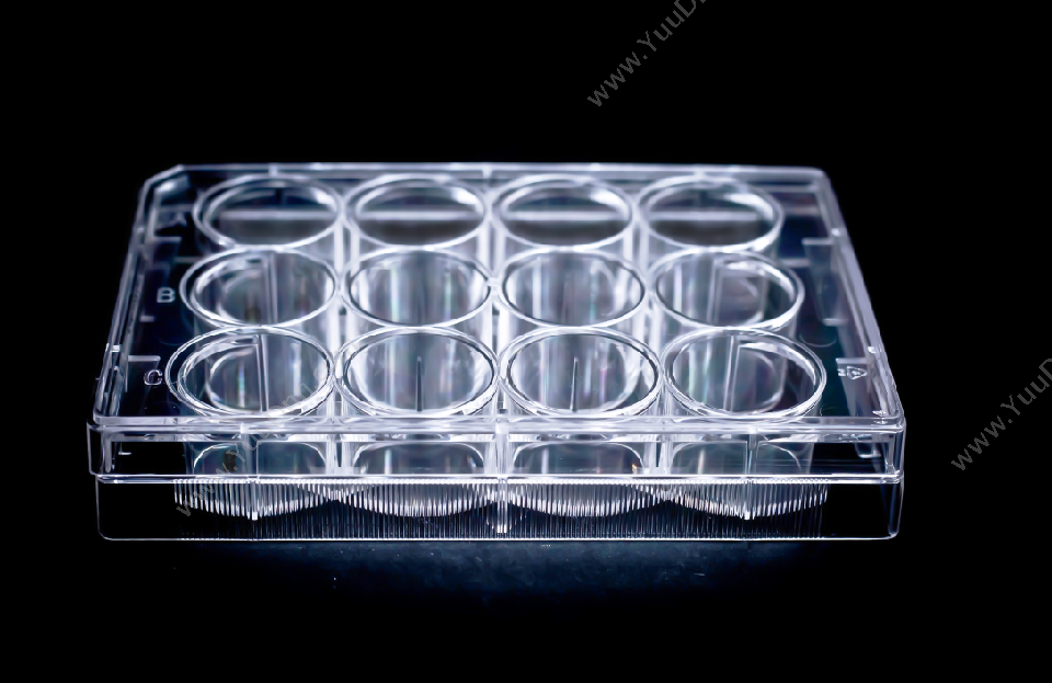 青岛金典细胞培养板医疗器皿