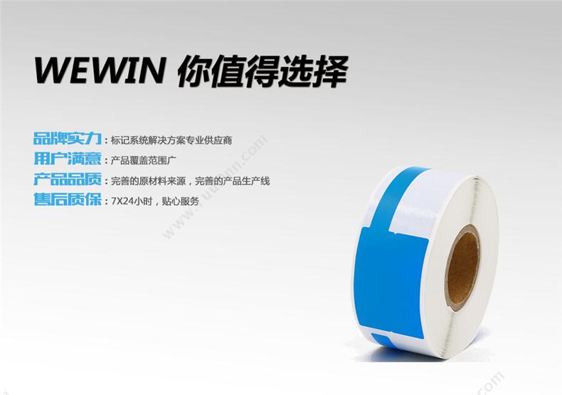 伟文 Wewin QS-02FBL-200 （蓝） 一套 线缆标签