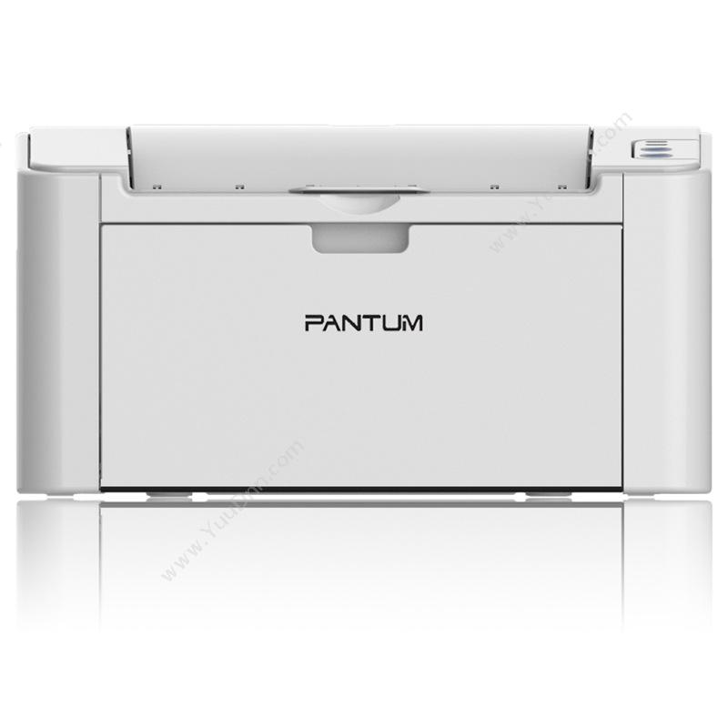 奔图 PantumP2505N  标配网络   双面打印A4黑白激光打印机