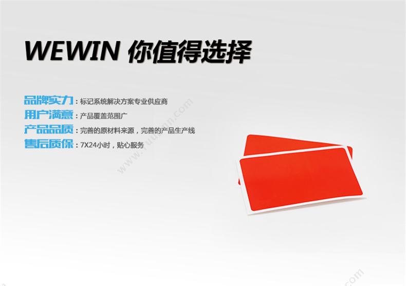 伟文 Wewin P38-60RD-250 设备标签 线缆标签