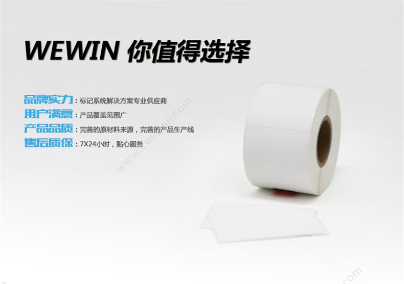 伟文 Wewin P38-60-250 设备标签 线缆标签