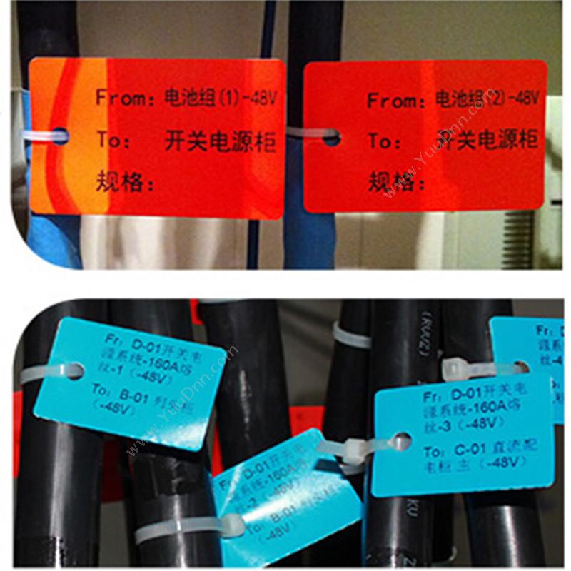 侨兴 Qiaoxing BC-4560 挂牌标签 45mm*60mm （蓝） 250张/卷 线缆标签