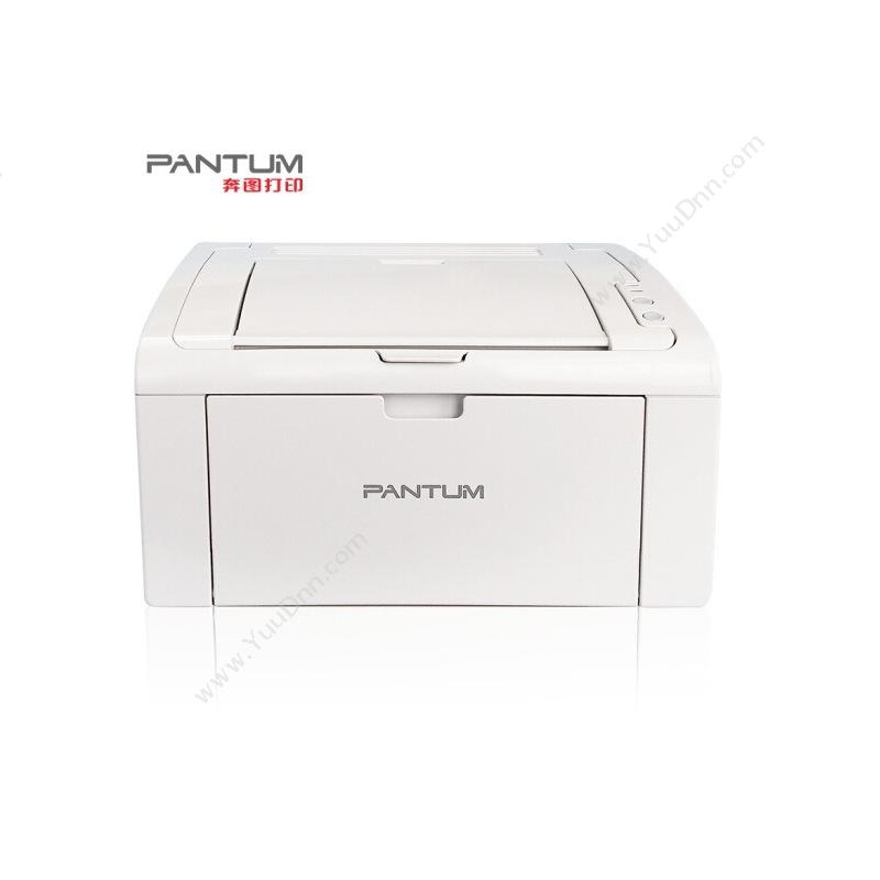 奔图 PantumP2506 ProA4黑白激光打印机