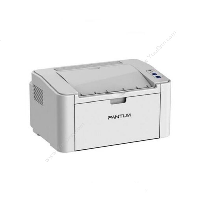 奔图 PantumP2200  A4幅面单打印 （白） 纸箱 手动双面A4黑白激光打印机