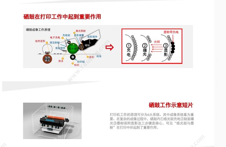 佳能 Canon CRG 331 m   1500页 品（红）（适用 LBP7110cw/LBP7100cn） 硒鼓