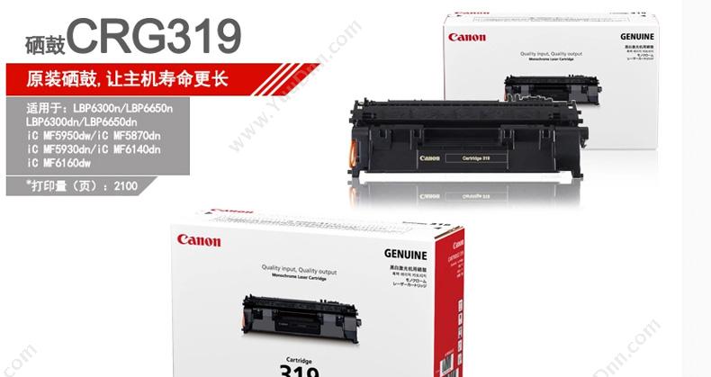 佳能 Canon CRG 319   2100页（黑）（适用 LBP6300dn/LBP6300n/LBP6650dn/LBP6650n/mF5870/5950dw/mF5930dn） 硒鼓