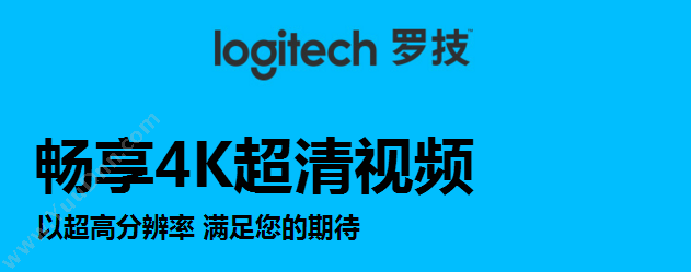 罗技 Logitech C1000e 超高清商务网络 （黑） 摄像头
