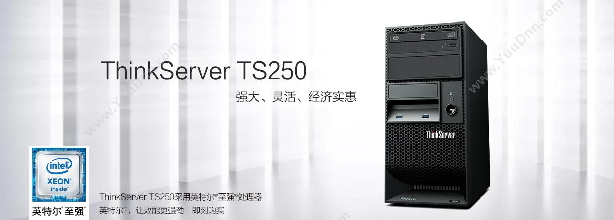 联想 Lenovo Thinkserver TS250  E3-1225/8GB /1T   /10000M/DAID1/单电/DVD-ROM/三年上门保修 塔式服务器