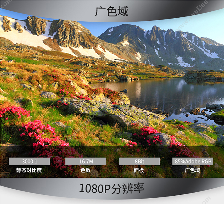 优派 Viewsonic VX2416-SCHD-W-PRO曲 显示器 23.8英寸（黑） 液晶显示器