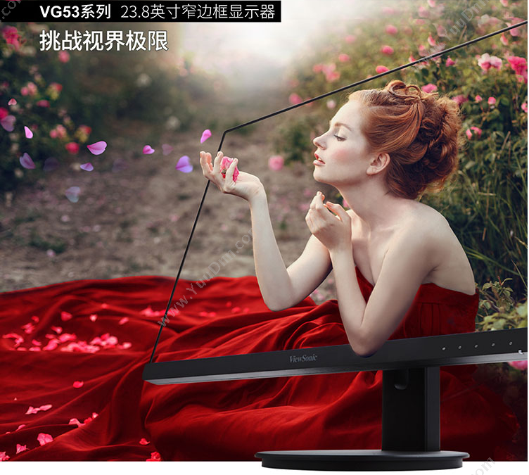 优派 Viewsonic VG2453-CN 显示器 23.8英寸（黑）  IPS旋转升降 液晶显示器