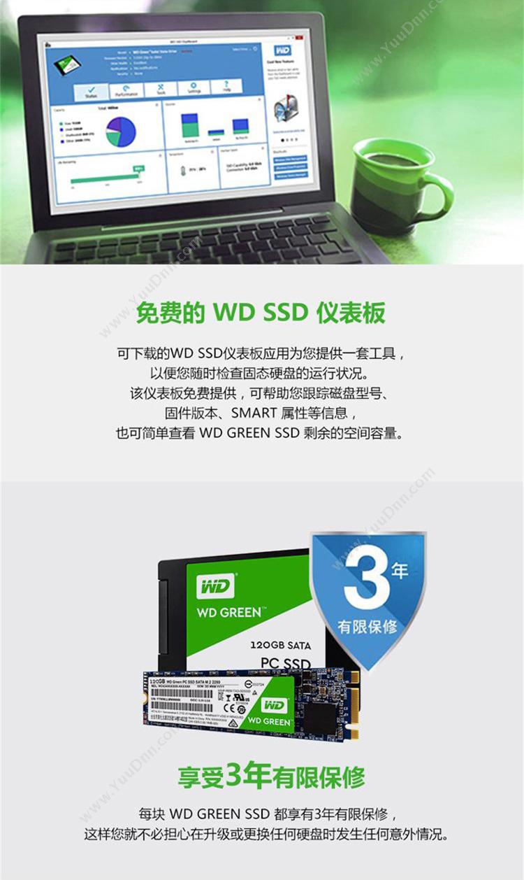 西部数据 WD WDS240G1G0B  240GB M.2接口(SATA协议） SSD 绿色 固态硬盘