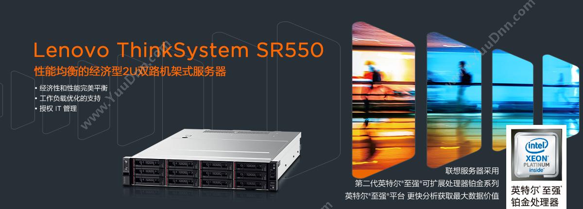 联想 Lenovo SR550 服务器 4110*2/16G*4/600G*8（黑）  /R730-8I/550W*2配CZ800 机架式服务器