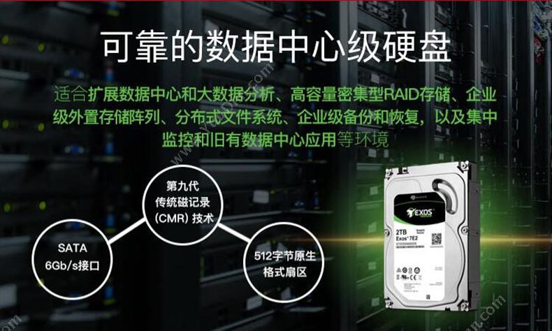 希捷 Seagate ST2000NM0008 企业级硬盘 机械硬盘 2TB（银） 其他硬盘