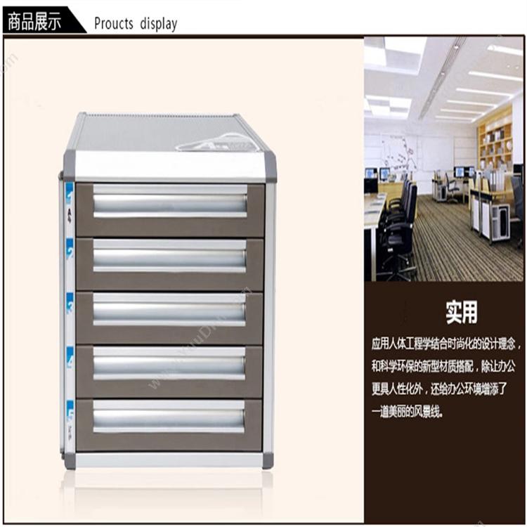 金隆兴 Jinlongxing C9950 文件收纳柜 五层 银色 金属文件柜