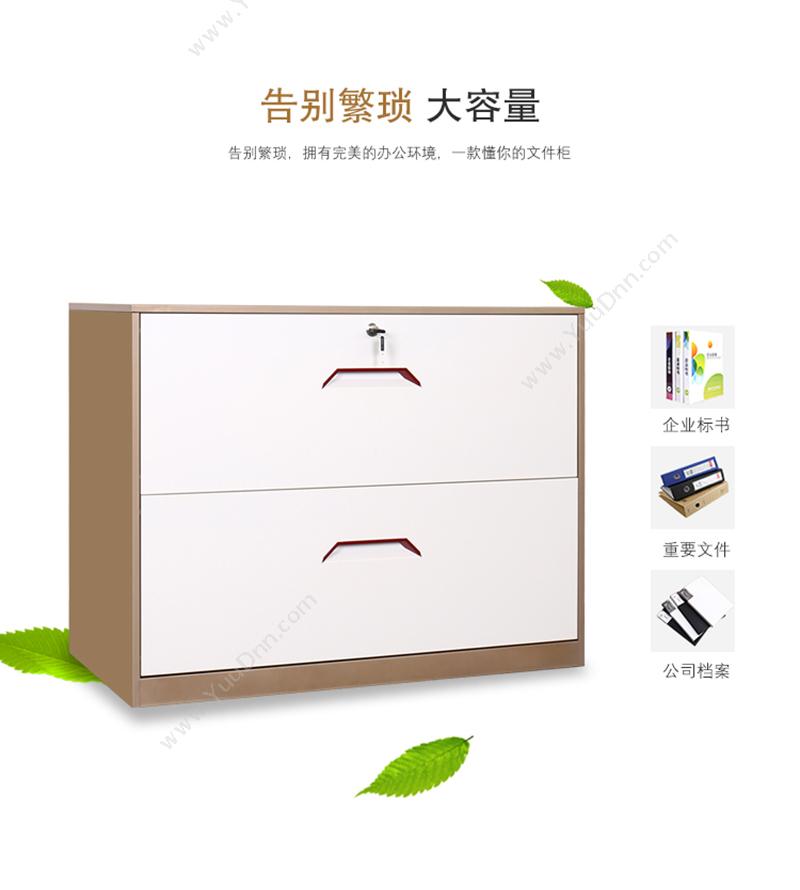 豫鼎鑫 Yutingxin 2GZY-W002咖白宽二抽卡箱 卡箱 金属文件柜