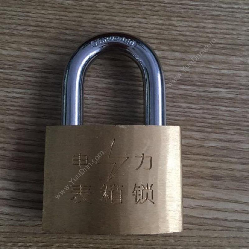 鼎弘 DingHong 铜锁 50mm铜色 其他安全锁具