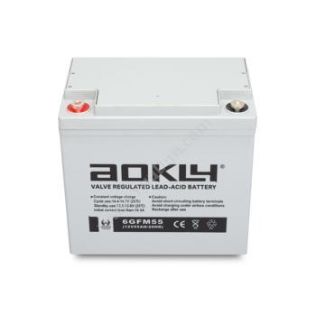 奥克莱 Aokly 12V   GFM系列 12V55AH    6-GFM-55 铅酸蓄电池