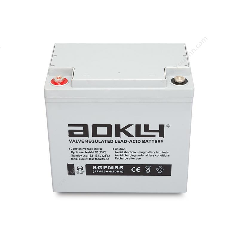 奥克莱 Aokly 12V   GFM系列 12V55AH    6-GFM-55 铅酸蓄电池