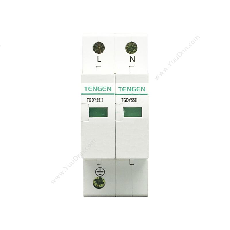 天正电气 Tengen TGDY55系列 TGDY55II-20 2P 4070040088 其它浪涌保护器