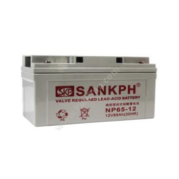 山盾 Sankph 免维护   NP12-65AH UPS不间断电源