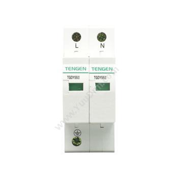 天正电气 Tengen TGDY55系列 TGDY55II-40 2P 4070040100 其它浪涌保护器