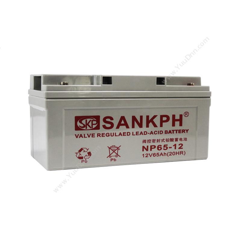 山盾 Sankph 免维护   NP12-65AH UPS不间断电源