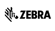 美国斑马 Zebra
