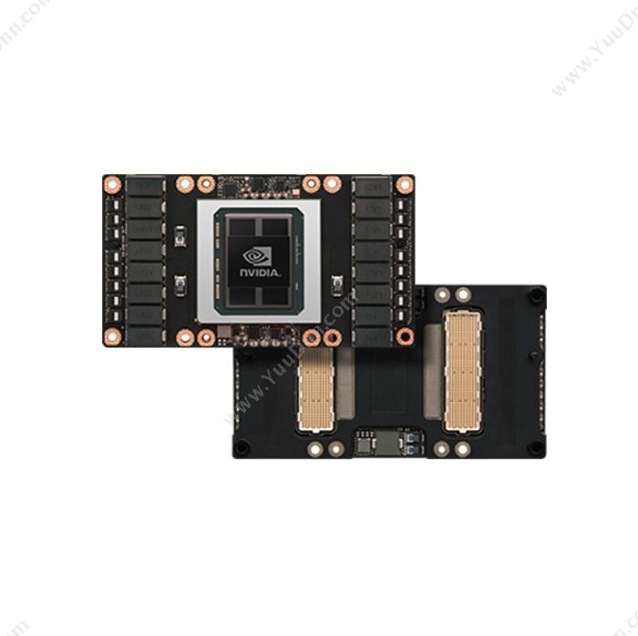 英伟达 Nvidia P100-STRONG-SCALE-HPC GPU卡