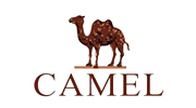 骆驼 Camel