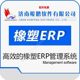 济南鲲鹏软件有限公司 鲲鹏橡塑行业ERP 企业资源计划ERP