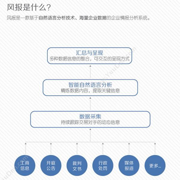 上海玻森数据科技有限公司 风报 保险业