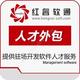 北京红睿软通科技有限公司 软件人才外包 保险业