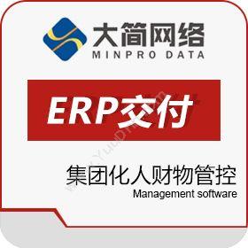 青岛大简网络科技有限公司 国外ERP交付 企业资源计划ERP