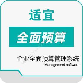 广州适宜软件适宜企业预算管理系统商业智能BI