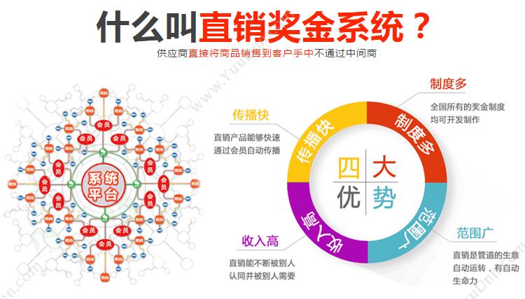 深圳龙霸网络技术有限公司 公排多轨制直销系统 双轨制直销系统结算软件 开发平台