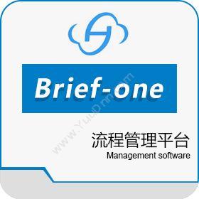 北京明荣科技有限公司 Brief-one（业务流程管理平台） 其它软件