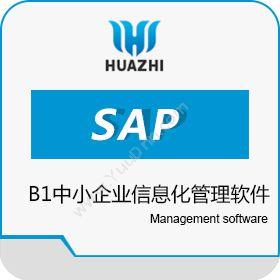 青岛中科华智信息SAP B1中小企业信息化管理软件 淄博华智软件实施商卡券管理