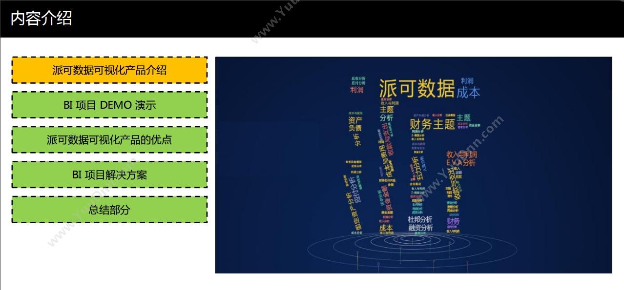 北京派可数据科技有限公司 一站式企业级BI可视化分析平台 财务管理