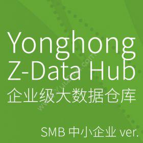 北京永洪商智科技有限公司 Yonghong Z-Data Hub 永洪企业级大数据平台 其它软件