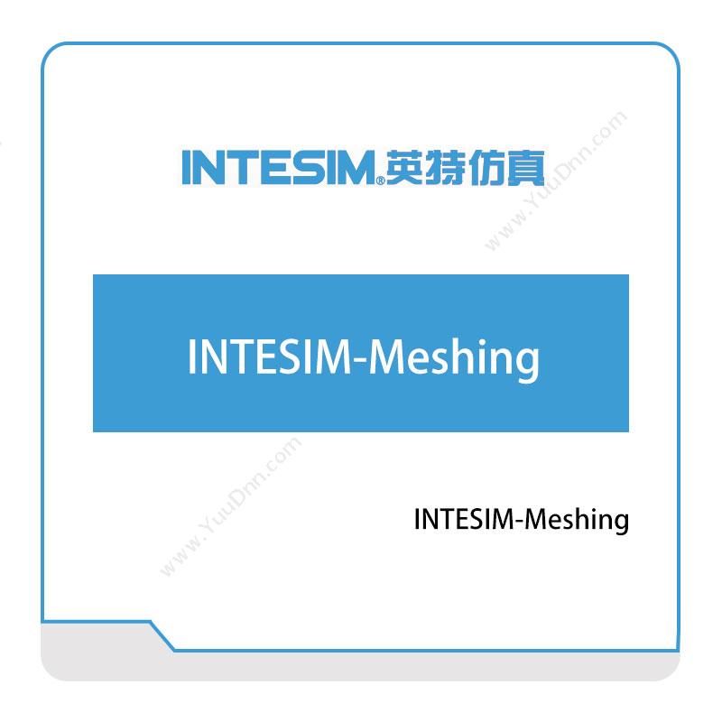 大连英特INTESIM-Meshing仿真软件