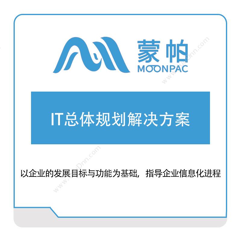 上海蒙帕 IT总体规划解决方案 咨询规划