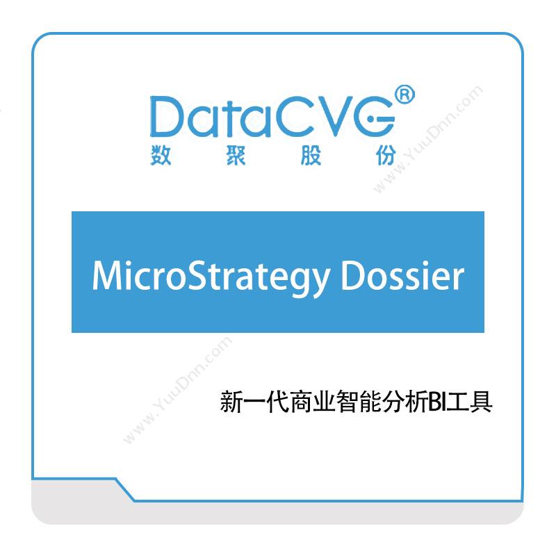 数聚股份 MicroStrategy-Dossier 大数据