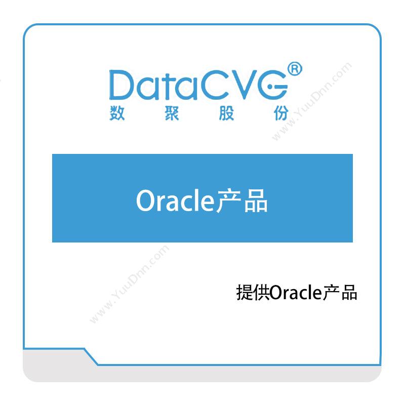 数聚股份Oracle产品大数据
