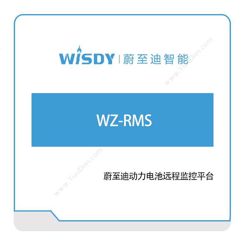 蔚至迪智能 WZ-RMS 电池远程监控平台 物联监测