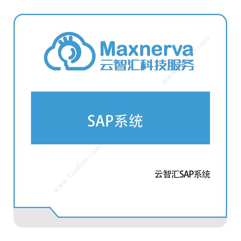 云智汇 SAP系统 智能制造
