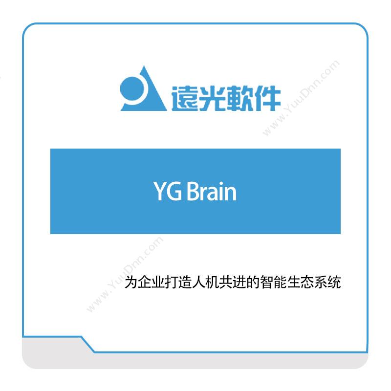远光软件 YG-Brain 电力软件