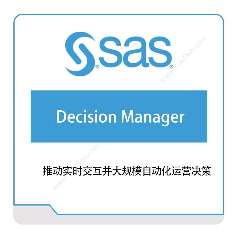 赛仕软件 Decision-Manager 商业智能BI