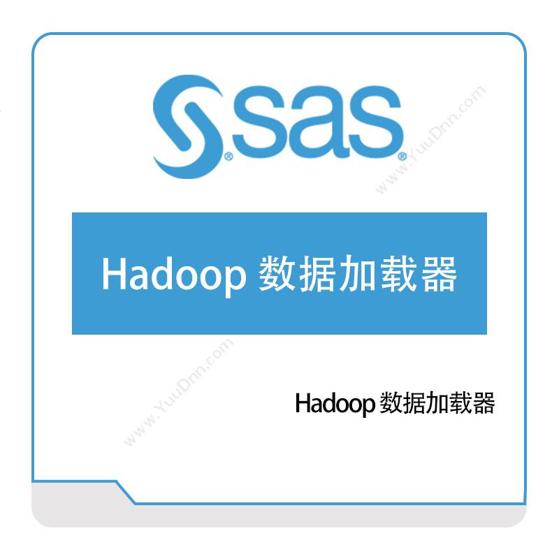 赛仕软件 SASHadoop-数据加载器数据管理